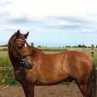 Marianne Rasmussen Photo 40