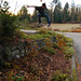 Andre Nash Photo 9