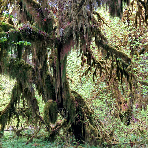 David Packer Photo 17