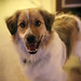 Kyla Shepard Photo 5