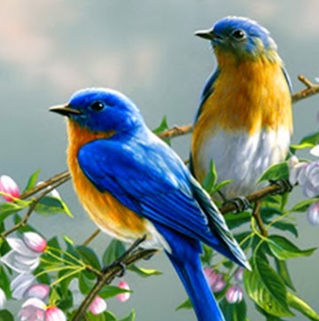 Avtar Dhaliwal Photo 10