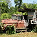 Virginia Hancock Photo 26