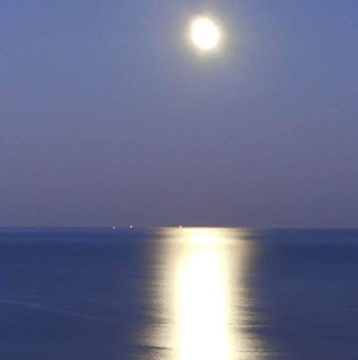 Steven Tripp Photo 25