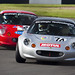 Steven Trott Photo 15