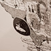 Sarah Glazier Photo 8