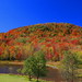 David Faunce Photo 18