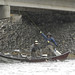 Earl Dowdy Photo 11