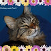 Trish Hope Photo 3