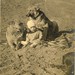 Jerry Thompson Photo 29