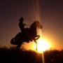 Wells Fargo Photo 21
