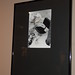 Connie Wheeler Photo 8