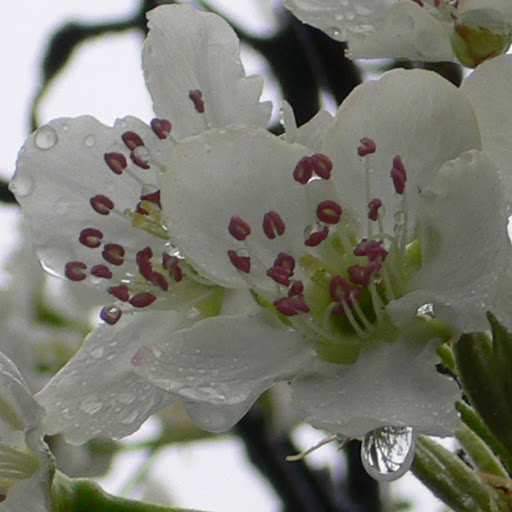 Huan Lin Photo 6