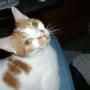 Carol Bergeron Photo 20