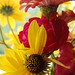 Susan Guyton Photo 14
