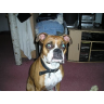Michael Whitman Photo 35