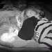 Megan Wyatt Photo 12