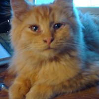 Barbara Mccormack Photo 9