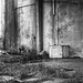 Mark Conley Photo 13