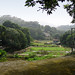 Wai Tang Photo 17
