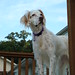 Karen Clayton Photo 22