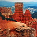 Bryce Walter Photo 4