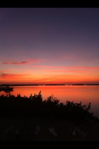 Katie Niles Photo 5