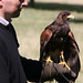 Richard Hawk Photo 27