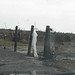 Sharon Burt Photo 22
