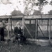 Joseph Archer Photo 21