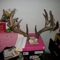Michael Smock Photo 23