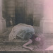 Ellen Rogers Photo 11