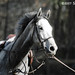 Ian Gray Photo 34