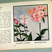 Harvey Flowers Photo 6