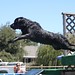 Bruce Kelley Photo 34