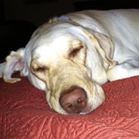 Debra Lasher Photo 4