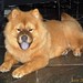 Sara Breeding Photo 10