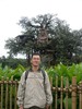 Steven Chin Photo 12