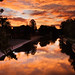 Dawn Crews Photo 17
