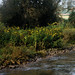 Bill Hamby Photo 20