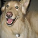 Tony Langley Photo 23