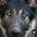 Tammy Sampson Photo 14