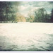 Irene Nieves Photo 15