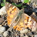 Cynthia Comment Photo 5