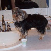 Nancy Moffitt Photo 24