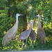 Sally Hanks Photo 18