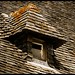Mark Chien Photo 17