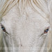 Heather Waller Photo 32