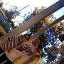 Nancy Campos Photo 45
