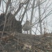 Carl Sage Photo 10