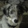 Bill Herring Photo 17